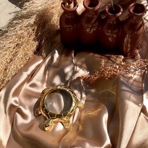 Antique Brass Magnifying Glass Tortoise